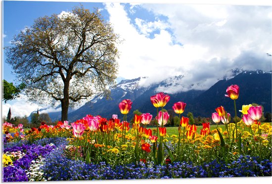 WallClassics - Acrylglas - Felgekleurde Bloemen in het Veld met Berg en Boom - 90x60 cm Foto op Acrylglas (Wanddecoratie op Acrylaat)