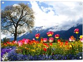 WallClassics - Tuinposter – Felgekleurde Bloemen in het Veld met Berg en Boom - 80x60 cm Foto op Tuinposter  (wanddecoratie voor buiten en binnen)