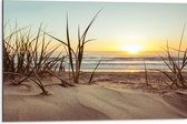 WallClassics - Dibond - Grassen in Duinen met Zon - 75x50 cm Foto op Aluminium (Met Ophangsysteem)