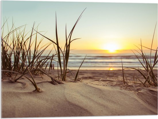 WallClassics - Acrylglas - Grassen in Duinen met Zon - 80x60 cm Foto op Acrylglas (Wanddecoratie op Acrylaat)