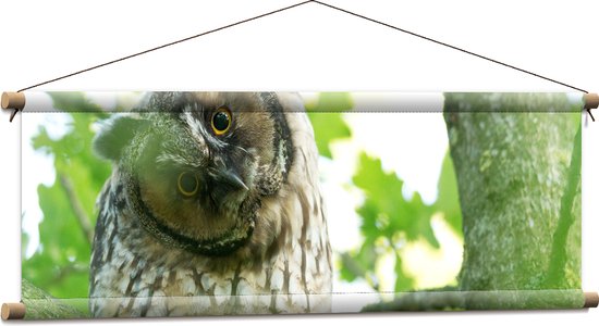 WallClassics - Poster Textile - Hibou Fou dans un Arbre - 90x30 cm Photo sur Textile