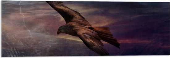 WallClassics - Acrylglas - Golden Eagle Vliegend - 90x30 cm Foto op Acrylglas (Met Ophangsysteem)