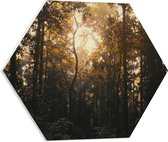 WallClassics - PVC Schuimplaat Hexagon  - Schemer in het Bos - 50x43.5 cm Foto op Hexagon (Met Ophangsysteem)