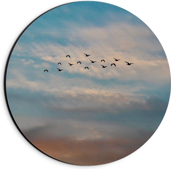 WallClassics - Dibond Muurcirkel - Groep Vliegende Vogels - 20x20 cm Foto op Aluminium Muurcirkel (met ophangsysteem)