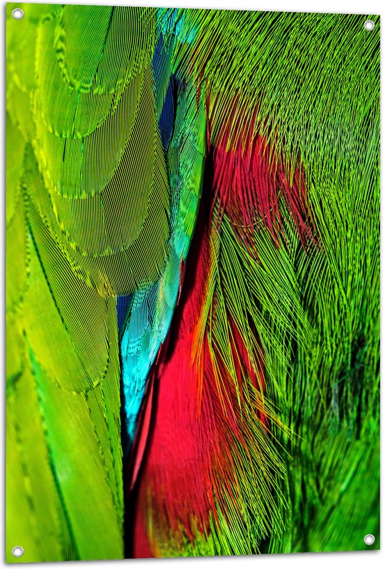 WallClassics - Tuinposter – Groen met Rode Veren van een Vogel - 70x105 cm Foto op Tuinposter  (wanddecoratie voor buiten en binnen)