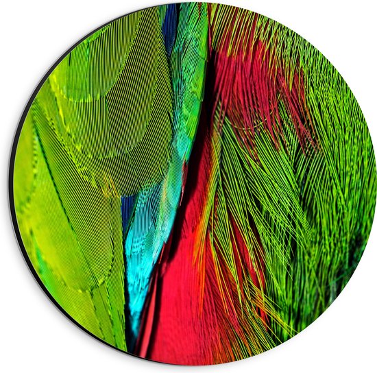 WallClassics - Dibond Muurcirkel - Groen met Rode Veren van een Vogel - 20x20 cm Foto op Aluminium Muurcirkel (met ophangsysteem)