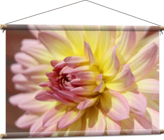WallClassics - Textielposter - Dahlia Bloem met Roze Details - 90x60 cm Foto op Textiel