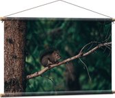 WallClassics - Textielposter - Eekhoorn hoog in de Boom - 90x60 cm Foto op Textiel