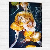 WallClassics - Muursticker - Gele Kwallen in de Zee - 70x105 cm Foto op Muursticker