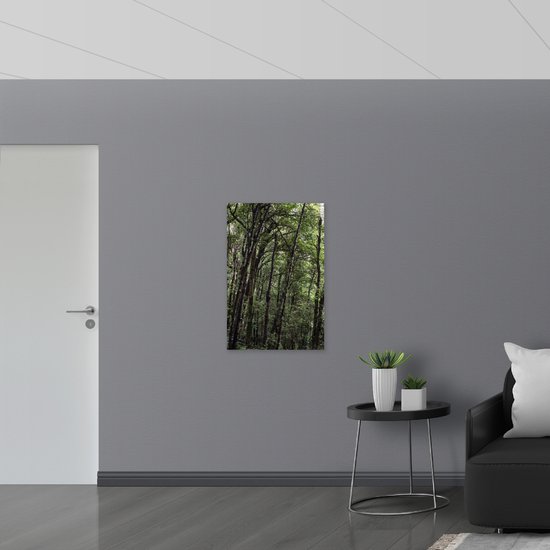 WallClassics - Panneau en mousse PVC - Arbres verts étroits pendant la journée - Photo 60x90 cm sur panneau en mousse PVC