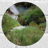 WallClassics - Muursticker Cirkel - Waterval tussen Gras - 20x20 cm Foto op Muursticker