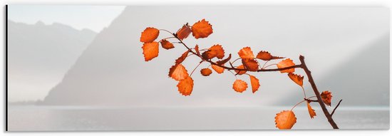 WallClassics - Dibond - Oranje Bladeren aan Tak voor Bergen - 60x20 cm Foto op Aluminium (Met Ophangsysteem)