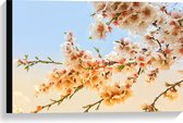 WallClassics - Toile - Branche de fleurs de couleur claire - 60x40 cm Photo sur toile Peinture (Décoration murale sur toile)