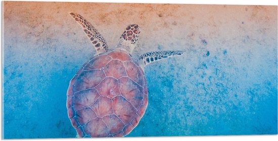 WallClassics - Acrylglas - Schildpad Zwemt naar het Strand - 100x50 cm Foto op Acrylglas (Met Ophangsysteem)