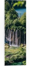 WallClassics - Panneau en mousse PVC – Chutes d'eau depuis les Arbres vers le bas – Photo 20 x 60 cm sur panneau en mousse PVC