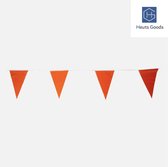 Heuts Goods - LUXE Oranje vlaggetjes - Oranje versiering - Oranje vlaggenlijn - Oranje slingers - Oranje vlaggetjeslijn - EK - WK - Oranje - Nederlands elftal - Koningsdag - 20 vlaggetjes - 10 Meter