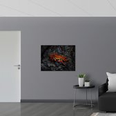 WallClassics - Poster Glanzend – Rode Krab op een Steen - 100x75 cm Foto op Posterpapier met Glanzende Afwerking
