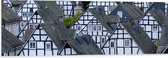 WallClassics - Dibond - Toppen van Kleine Huisjes in het Bruin-Wit - 120x40 cm Foto op Aluminium (Wanddecoratie van metaal)