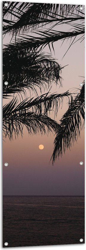 WallClassics - Tuinposter – Takken van Boom op Strand met Kleine Zon - 50x150 cm Foto op Tuinposter  (wanddecoratie voor buiten en binnen)