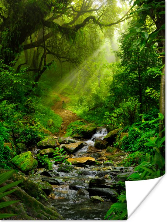 Poster Jungle - Water - Bladeren - Zon - Natuur - 60x80 cm - Kerstversiering - Kerstdecoratie voor binnen - Kerstmis