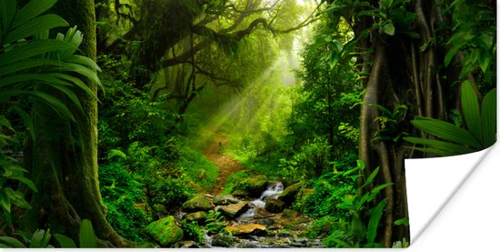 Poster Jungle - Water - Bladeren - Zon - Natuur - 160x80 cm - Kerstversiering - Kerstdecoratie voor binnen - Kerstmis