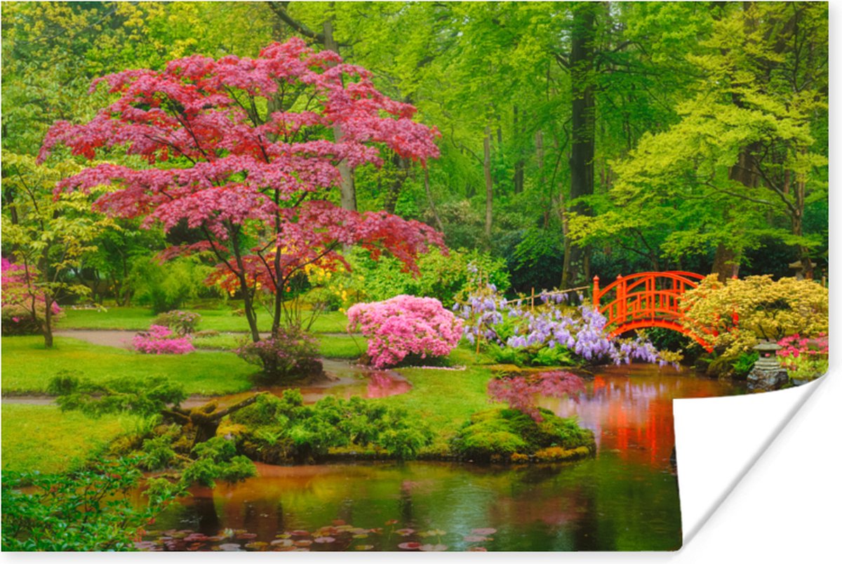 Poster Brug - Japans - Botanisch - Bomen - Bloemen - 90x60 cm