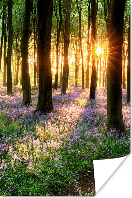 Poster Bos - Bloemen - Lavendel - Bomen - Bos - Zon - Paars - Natuur - 20x30 cm