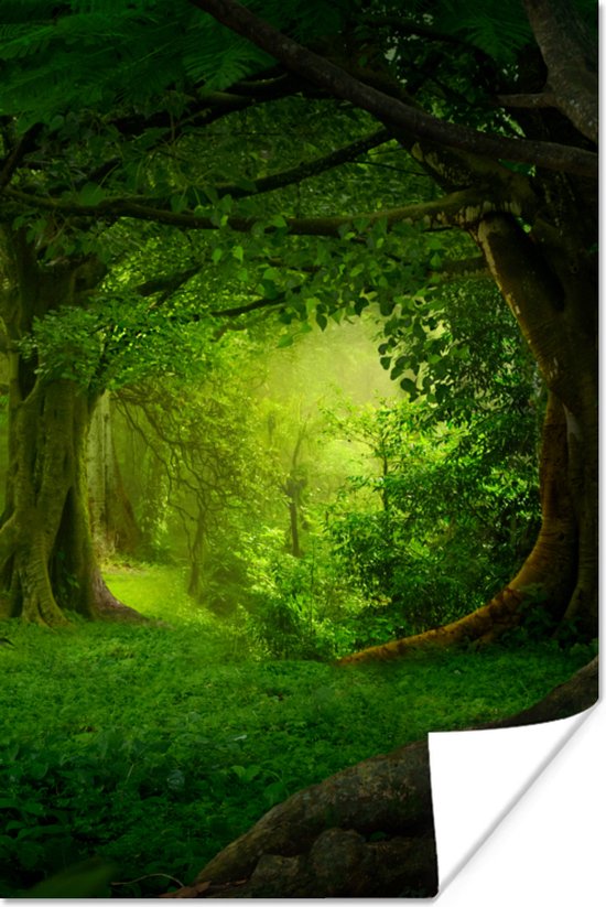 Poster Bomen - Bos - Groen - Landschap - Natuur - 20x30 cm