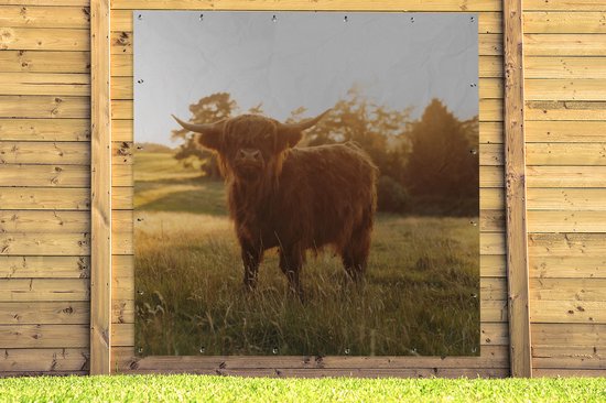 Tuinposter 200x200 cm - Tuindecoratie Schotse hooglander - Gras - Zon - Poster voor in de tuin - Buiten decoratie - Schutting tuinschilderij - Tuindoek muurdecoratie - Wanddecoratie balkondoek