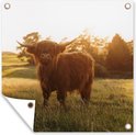Product afbeelding  16