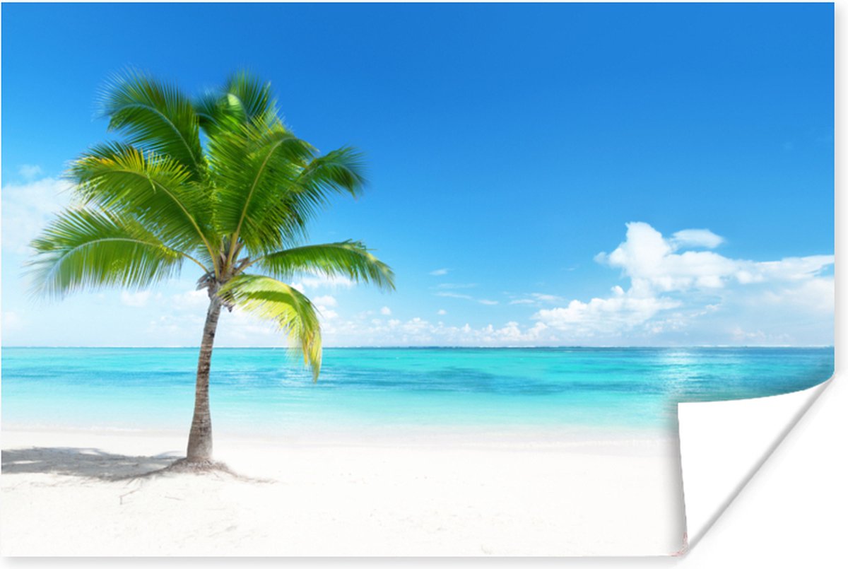 Poster Palmboom - Strand - Zee - Zomer - 120x80 cm
