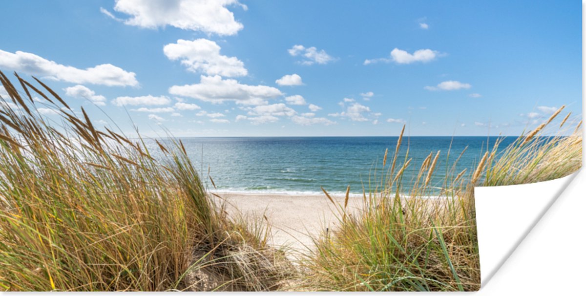 Poster Duin - Gras - Zee - Strand - 150x75 cm