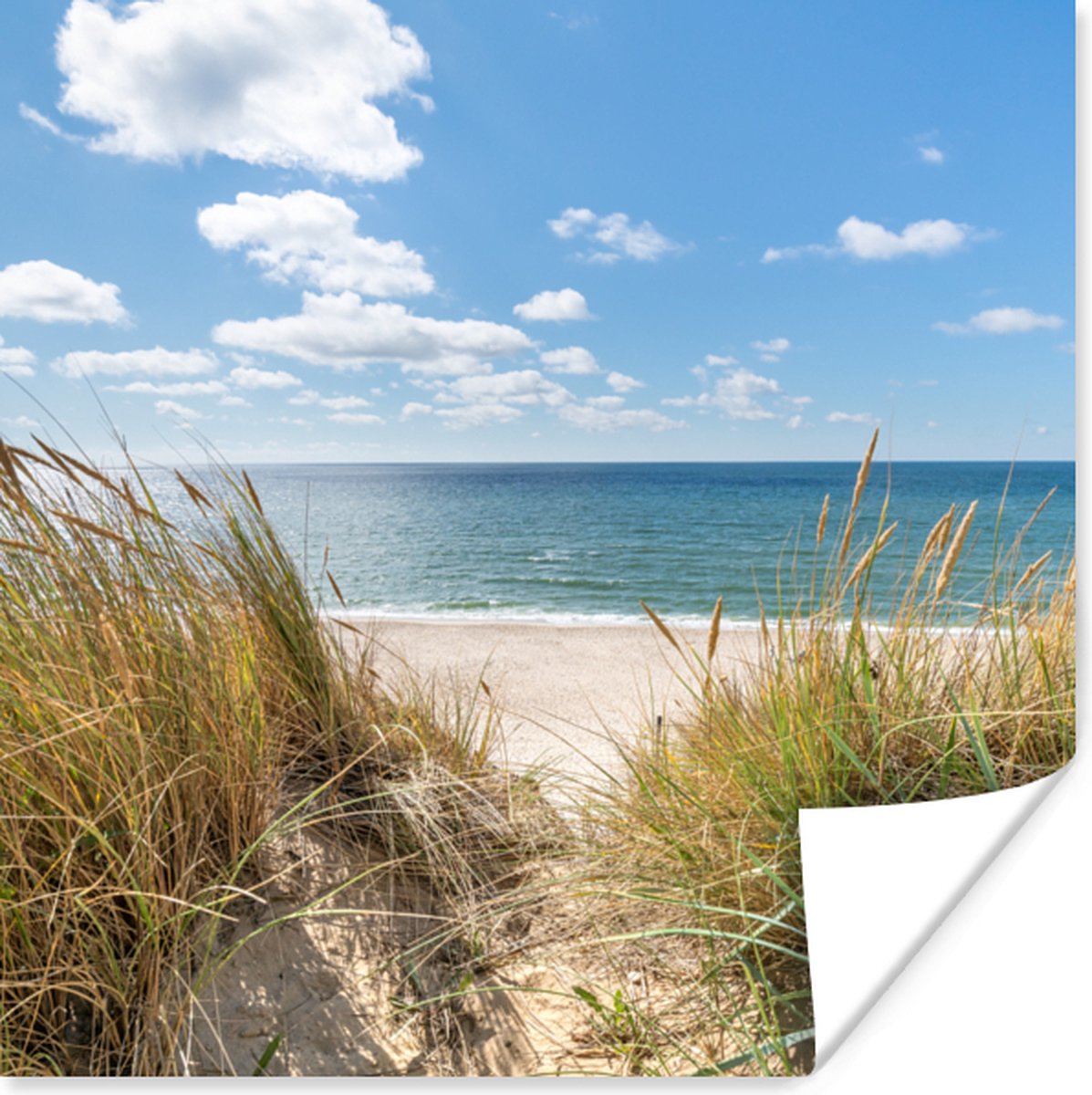 Poster Duin - Gras - Zee - Strand - 50x50 cm
