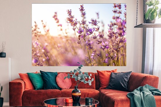 Poster Lavande - Gros plan - Soleil - Fleurs - Violet - 180x120 cm XXL