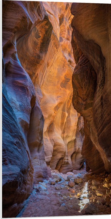 WallClassics - PVC Schuimplaat - Willis Creek - 50x100 cm Foto op PVC Schuimplaat (Met Ophangsysteem)