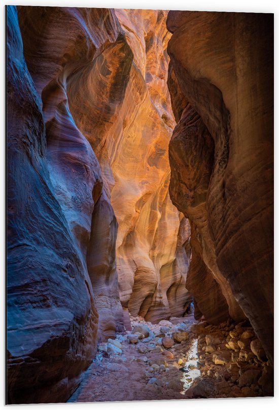 WallClassics - Dibond - Willis Creek - 60x90 cm Foto op Aluminium (Wanddecoratie van metaal)