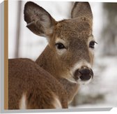 WallClassics - Hout - Hertje in de Sneeuw - 50x50 cm - 12 mm dik - Foto op Hout (Met Ophangsysteem)