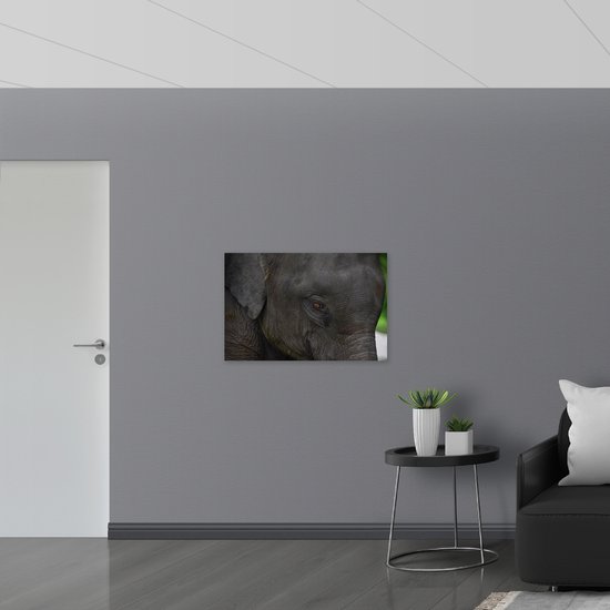 WallClassics - Verre Acrylique - Gros Plan d'une Tête d'Éléphant - 90x60 cm Photo sur Verre Acrylique (Décoration murale sur Acrylique)