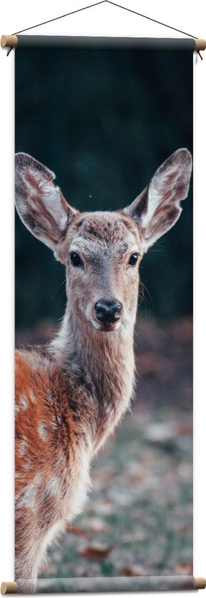 WallClassics - Affiche textile - Cerf sauvage - 40x120 cm Photo sur textile