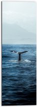 WallClassics - Dibond - Walvis Staart boven Zee - 30x90 cm Foto op Aluminium (Met Ophangsysteem)