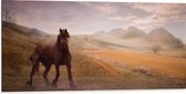 WallClassics - Dibond - Zwart Paard in de Natuur - 100x50 cm Foto op Aluminium (Wanddecoratie van metaal)