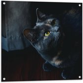 WallClassics - Tuinposter – Zwarte Kat - 80x80 cm Foto op Tuinposter  (wanddecoratie voor buiten en binnen)