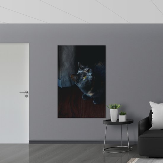 WallClassics - Dibond - Chat Noir - 100x150 cm Photo sur Aluminium (avec système d'accrochage)