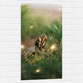 WallClassics - Muursticker - Zwart met Gele Slang tussen het Groene Gras - 50x100 cm Foto op Muursticker
