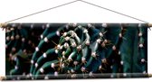 WallClassics - Textielposter - Prikkels van Cactus - 90x30 cm Foto op Textiel