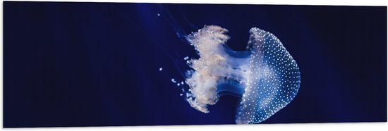 WallClassics - Vlag - Witte Kwal onder Blauw Water - 120x40 cm Foto op Polyester Vlag