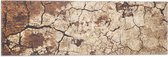 WallClassics - Vlag - Droge Klei - 60x20 cm Foto op Polyester Vlag