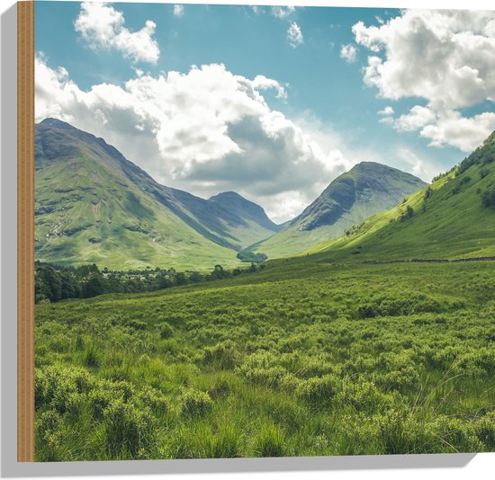 WallClassics - Hout - Bergachtig Graslandschap - 50x50 cm - 12 mm dik - Foto op Hout (Met Ophangsysteem)