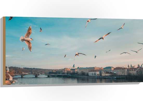 WallClassics - Hout - Vliegende Vogels Boven een Rivier in Praag - 100x50 cm - 12 mm dik - Foto op Hout (Met Ophangsysteem)