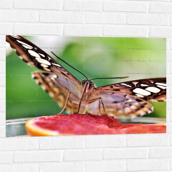 WallClassics - Muursticker - Zwart met Witte Vlinder op Fruit - 90x60 cm Foto op Muursticker